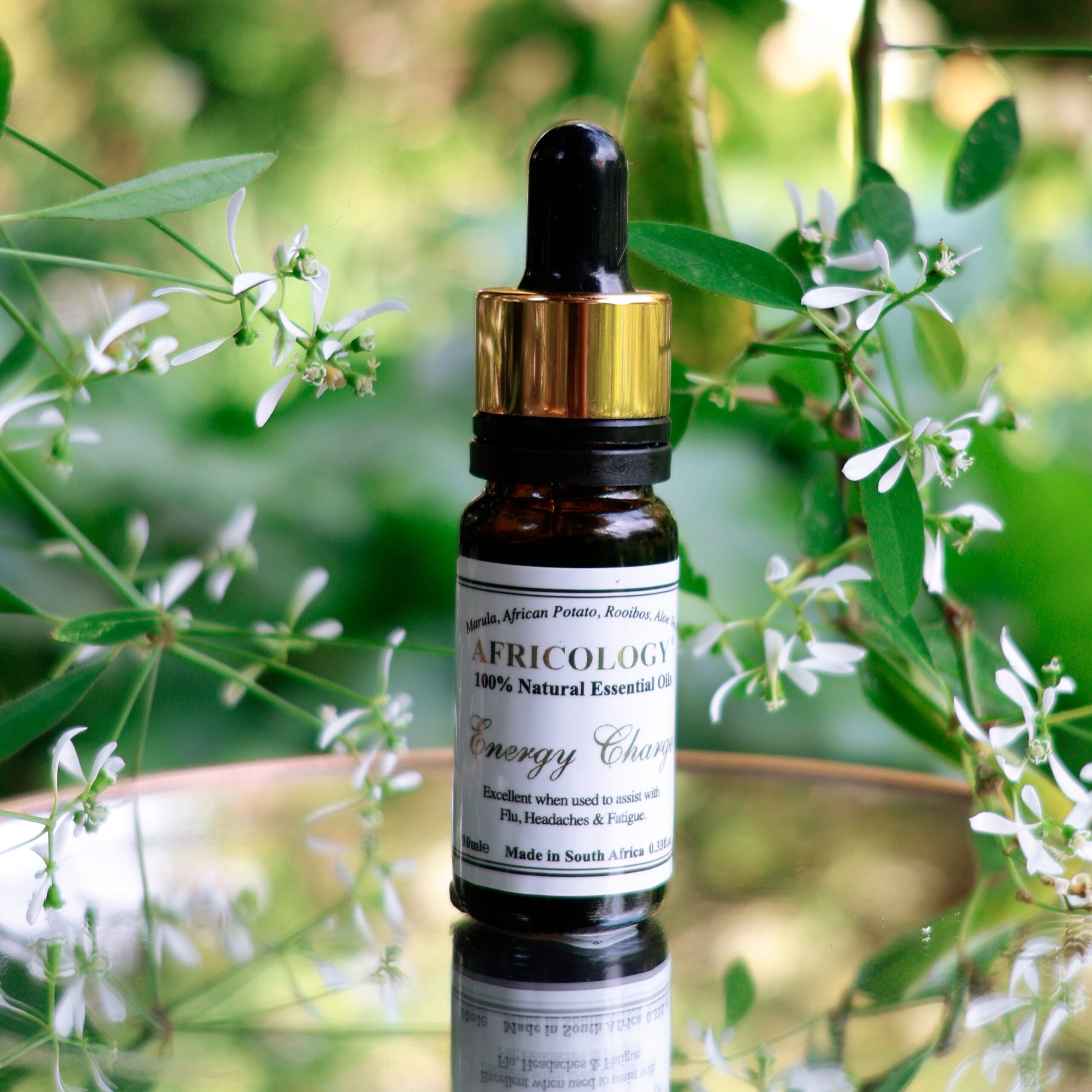 Energy Charge – Image 3